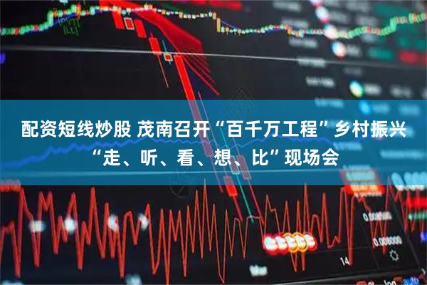 配资短线炒股 茂南召开“百千万工程”乡村振兴“走、听、看、想、比”现场会
