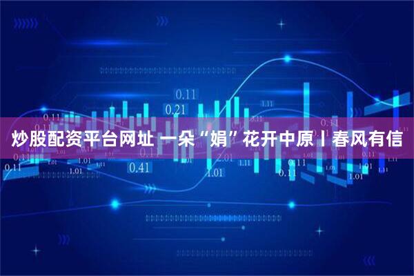 炒股配资平台网址 一朵“娟”花开中原丨春风有信